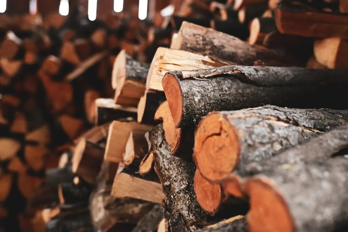 Wood-Burning Stove vs Open Fire: Which Is Better for a UK Home?